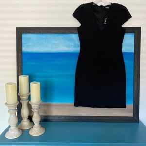 express tulip sleeve sheath dress